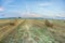 Spectacular golden field with round hay rolls under a blue sky