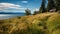 Spectacular Grassy Hill And Waterfront View Of Flathead Lake
