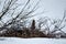 Spectacular .Groundhog hidden among bushes in the snow, Alaska, USA, United States of America