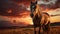 Spectacular Horse Grazing In Richly Colored Skies