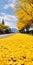 Spectacular Japanese-inspired Road Covered In Vibrant Yellow Leaves