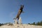 Spectacular jumping belgian shepherd catching its toy in sand dunes on a sunny day with clear sky