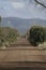 spectacular lonely land road in CabaÃ±eros Park Spain.