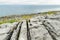 Spectacular misty landscape in the Burren region of County Clare, Ireland. Exposed karst limestone bedrock at the Burren National