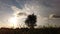 Spectacular motion time lapse in the meadow with scenic movement and light effect