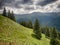 Spectacular mountain landscape with clouds hovering above mountain slopes filled with bushes of rhododendron kotschyi in fagaras m