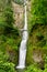 Spectacular Multnomah Falls Streams into the Gorge