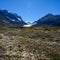 The spectacular panorama, the dramatic mountain terrain and the fall color of high alpine flora give the Athabasca Glacier along