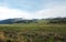 Spectacular panoramic views at Larmar Valley in Yellowstone National Park. Watch wildlife, Bison Buffalo, wolf, pronghorn.