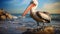 Spectacular Pelican: A Photo Realistic Image Showcasing Beauty