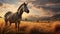 Spectacular Photorealistic Image Of Zebra Grazing In Field At Sunset