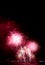 Spectacular pink and red fireworks splashing in the night sky