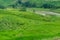 Spectacular rice terraces with green rice grass