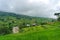 Spectacular rice terraces in Vietnamese countryside