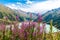 Spectacular scenic Big Almaty Lake ,Tien Shan Mountains in Almaty, Kazakhstan,Asia