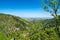 Spectacular sunny view of Ilsenburg and Ilse-valley, Harz German