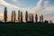 A spectacular sunrise with an amazing colored sky over the rolling hills in an Italian landscape with the Tuscan Poplar trees