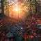 Spectacular sunset landscape,  fairy sunlight in autumn  forest, scenic colorful image, beautiful atmosphere of nature