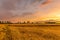 Spectacular sunset over stubble field