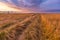 Spectacular sunset over stubble field