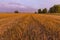 Spectacular sunset over stubble field