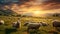 Spectacular Sunset Scene: Sheep Grazing In Vibrant Grassy Field