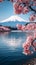 Spectacular view Japanese cherry blossoms with Mount Fuji backdrop