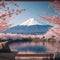 Spectacular view Japanese cherry blossoms with Mount Fuji backdrop