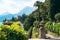 Spectacular view of the lakefront botanical garden of Villa Monastero in Varenna, Italy.