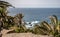 Spectacular view over palm trees to the Atlantic