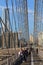 Spectacular views of the Brooklyn Bridge with all its characteristic metal wires and the pedestrian walkway