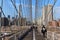 Spectacular views of the Brooklyn Bridge with all its characteristic metal wires and the pedestrian walkway