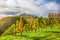 Spectacular vineyards landscape in South Styria near Gamlitz