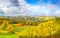 Spectacular vineyards landscape in South Styria near Gamlitz