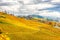 Spectacular vineyards landscape in South Styria near Gamlitz