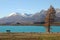 Spectacular waterfront, single yellow pine, empty bench on grassland, deep cyan water lake and distant snow mountains in autumn