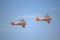 Spectacular Wingwalkers aerial aerobatics