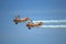 Spectacular Wingwalkers aerial aerobatics