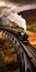 Spectacular Wizardcore Train On Bridge With Vibrant Scottish Landscapes