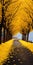 Spectacular Yellow Flower Tree On Road: Tatsuo Miyajima Style