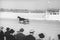 Spectators watching warm-up before harness race