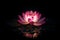 Spectral light lotus. Generate Ai