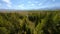 Speed aerial view flying from mountain peak over endless spring autumn steppie forest spruce trees