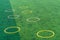 Speed Agility ring circle on green turf soccer training field and football academy concept