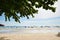 Speed boats anchored waiting for tourist at pattaya beach.