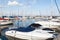 Speed Boats in Calm Harbor Marina