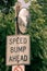 Speed bump sign below convex safety mirror