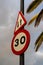 Speed limit 30 sign and regulation road sign with a palm on the background - Image