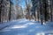 Speed limit sign next to a road winding through the trees in Council Grounds State Park, Merrill, Wisconsin after a snow storm