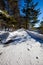 Speed limit sign next to a road winding through the trees in Council Grounds State Park, Merrill, Wisconsin after a snow storm